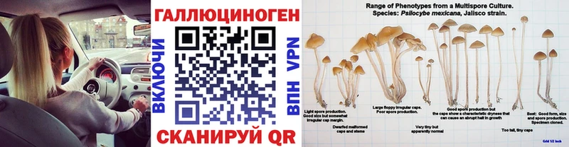 Галлюциногенные грибы Cubensis  Шатура 