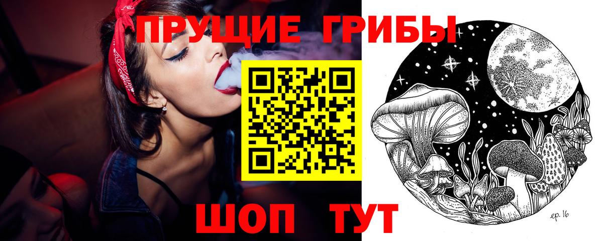 цена   Вход с VPN  Шатура  Галлюциногенные грибы мицелий  Псилоцибиновые грибы Psilocybe 